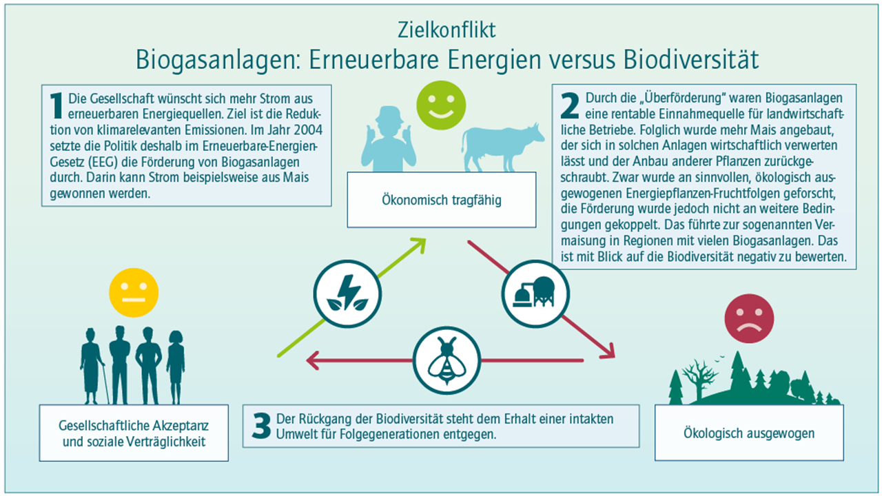 Grafik, die Zielkonflikte von Biogasanlagen darstellt