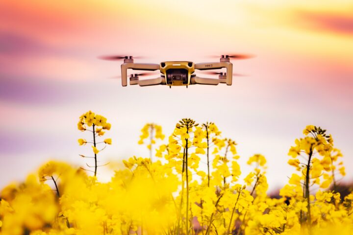 Eine Drohne, die über ein Rapsfeld fliegt
